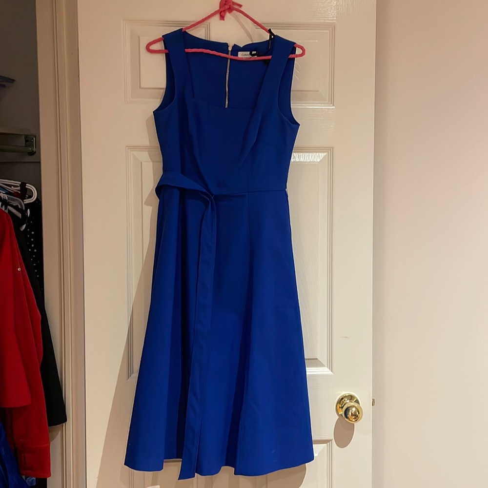 Blue Calvin Klein Dress